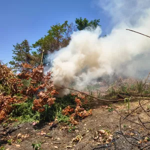 Divulgação/ Polícia Militar - DCS