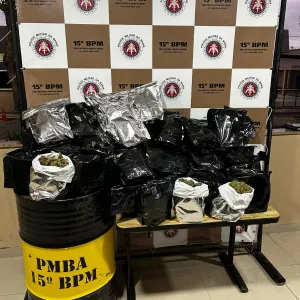 Materiais apreendidos são exibidos