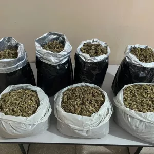 PM apreende 7 kg de maconha em Curaçá