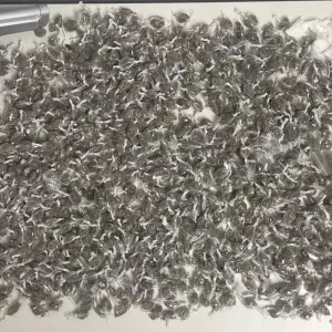 Polícia Miilitar - DCS