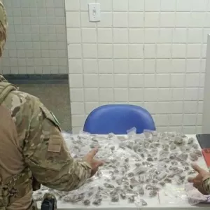 PM apreende mais de 500 porções de drogas em Tancredo Neves