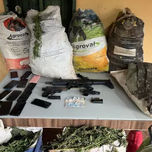 Maior apreensão de drogas de 2026 acumula 3 toneladas de maconha encontradas e 200 mil pés da erva erradicados