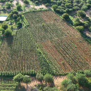Divulgação/ Ascom SSP