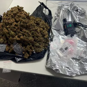 Polícia Miilitar - DCS