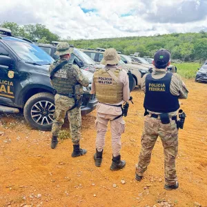 FICCO Bahia, PM e PF erradicam mais 125 mil pés de maconha e completam 4 roças desmontadas em uma semana
