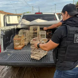 Divulgação/ Ascom PCBA