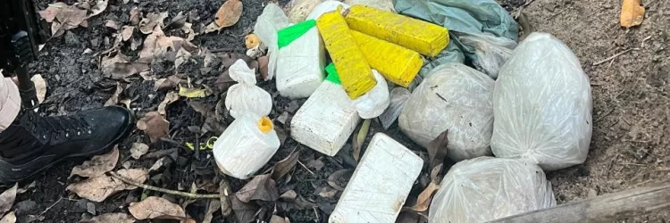 Operação Navalha mira núcleo de grupo criminoso e apreende mais de 26 kg de drogas em Eunápolis