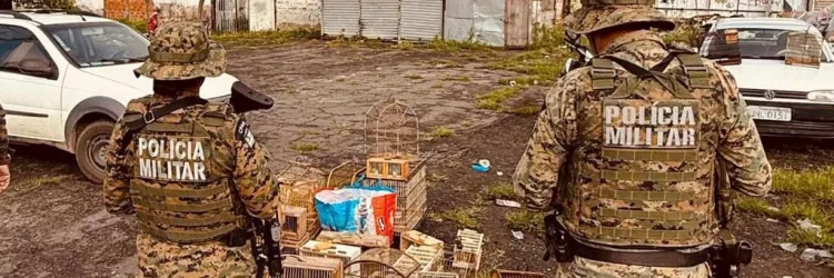 Divulgação/COPPA - PMBA