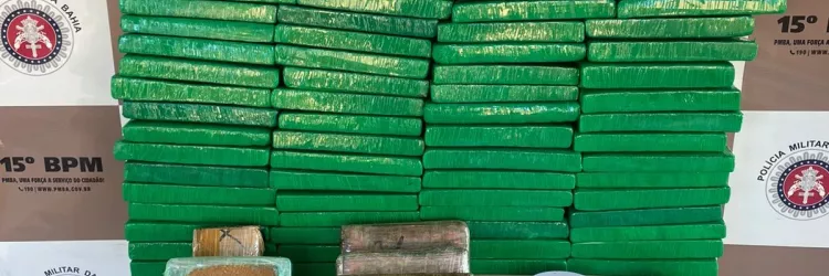 Dorgas apreendidas estão sobre uma mesa