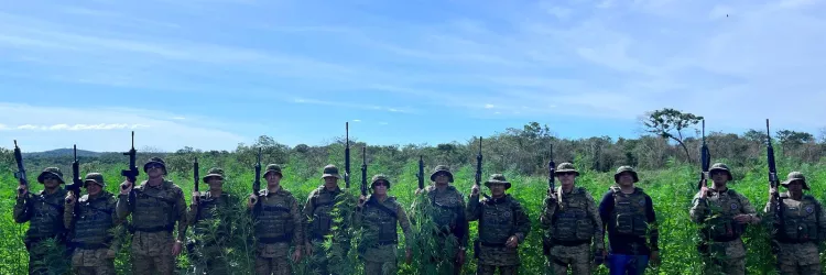 Policiais estão em frente a plantação