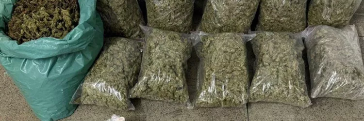 Entorpecentes estão em sacos