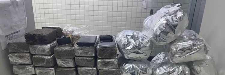 Materiais apreendidos são exibidos