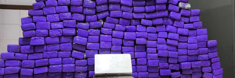 Materiais apreendidos são exibidos