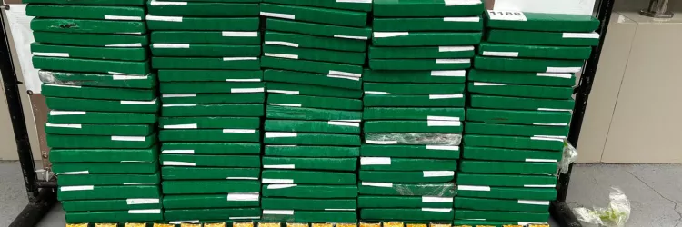 Transportador do tráfico localizado com 95 quilos de drogas durante operação integrada entre FICCO Ilhéus e PM