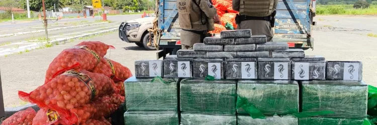 Policiais militares estão a frente do material apreendido
