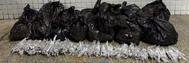 Os dois foram presos e encaminhados para a Central de Flagrantes, onde a ocorrência foi registrada.