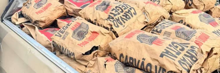 Divulgação/ Polícia MIlitar - DCS