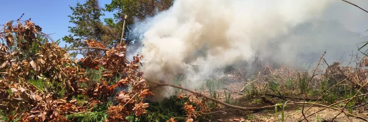 Divulgação/ Polícia Militar - DCS