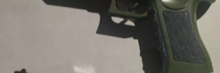 Materiais apreendidos são exibidos