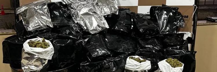 Materiais apreendidos são exibidos