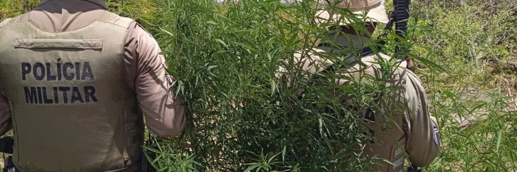 Polícia Miilitar - DCS