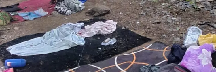 Materiais apreendidos são exibidos