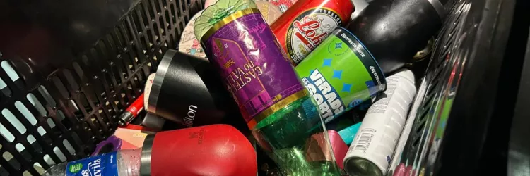 Gabriel Arouca/Ascom SSP