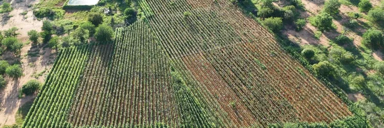 Divulgação/ Ascom SSP