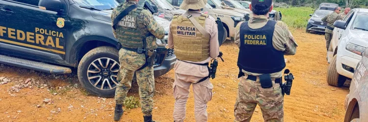 FICCO Bahia, PM e PF erradicam mais 125 mil pés de maconha e completam 4 roças desmontadas em uma semana