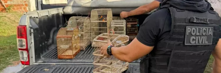 Divulgação/ Ascom PCBA