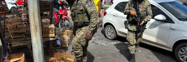 Divulgação/PMBA