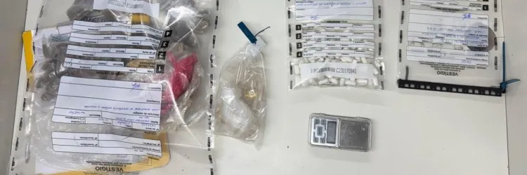 PM apreende drogas em Dom Avelar