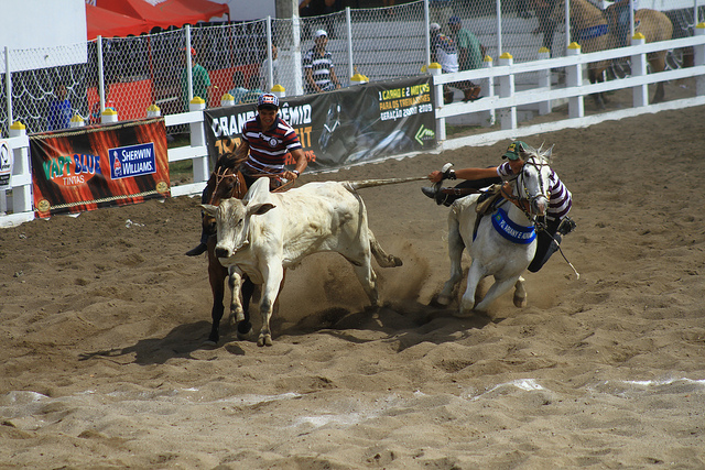 7952997814_f4f1a6b151_z