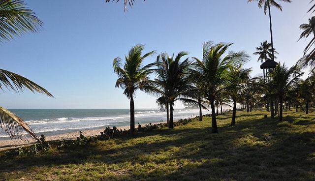 O coqueiral aliado às areias brancas das praias formam um cenário de rara beleza que enseja tranquilidade e um deslumbramento na sua contemplação Foto: Rita Barreto/Bahiatursa