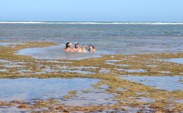 As piscinas de Praia do Forte são atrações turísticas Foto:Fernanda Souza/Bahiatursa