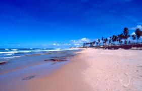 Praia - Arembepe - Foto: Jotafreitas