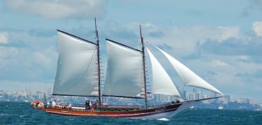 3931437531_ca5a19db17_b