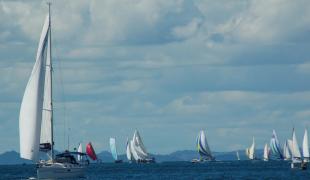 3932213418_7737b5dcfd_b (1)