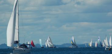 3932213418_7737b5dcfd_b (1)