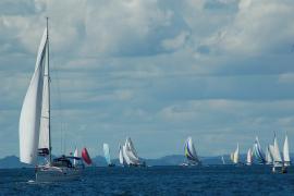 3932213418_7737b5dcfd_z