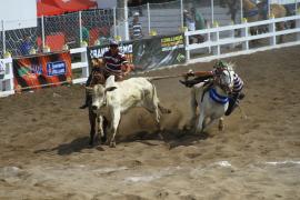 7952997814_f4f1a6b151_b