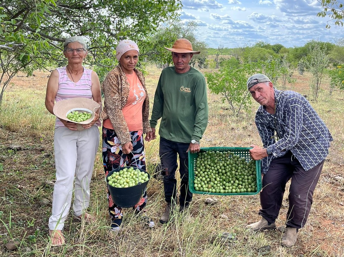 trabalhadores cooperados