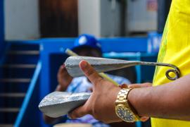 percussão gandhy 4.jpg