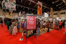 Bahia Origem Week 2025 4.jpg