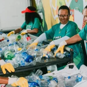 Foto: divulgação/ONG Cama