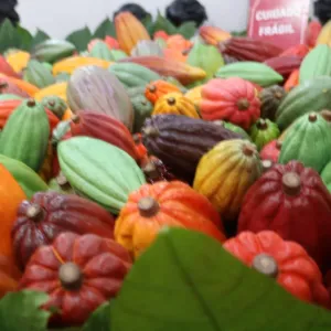 Aparecida Bastos/Ascom Setre