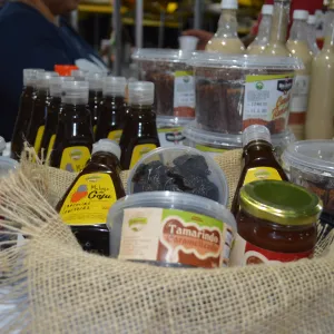 Aparecida Bastos/Ascom Setre