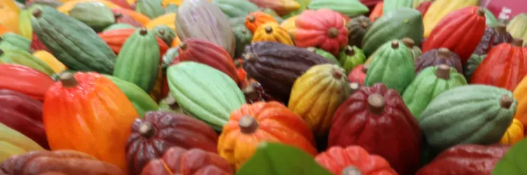 Aparecida Bastos/Ascom Setre