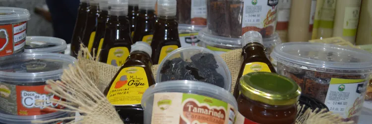 Aparecida Bastos/Ascom Setre