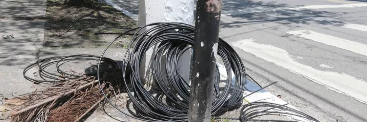 ANPTrilhos comemora aprovação do PL 4872/2024